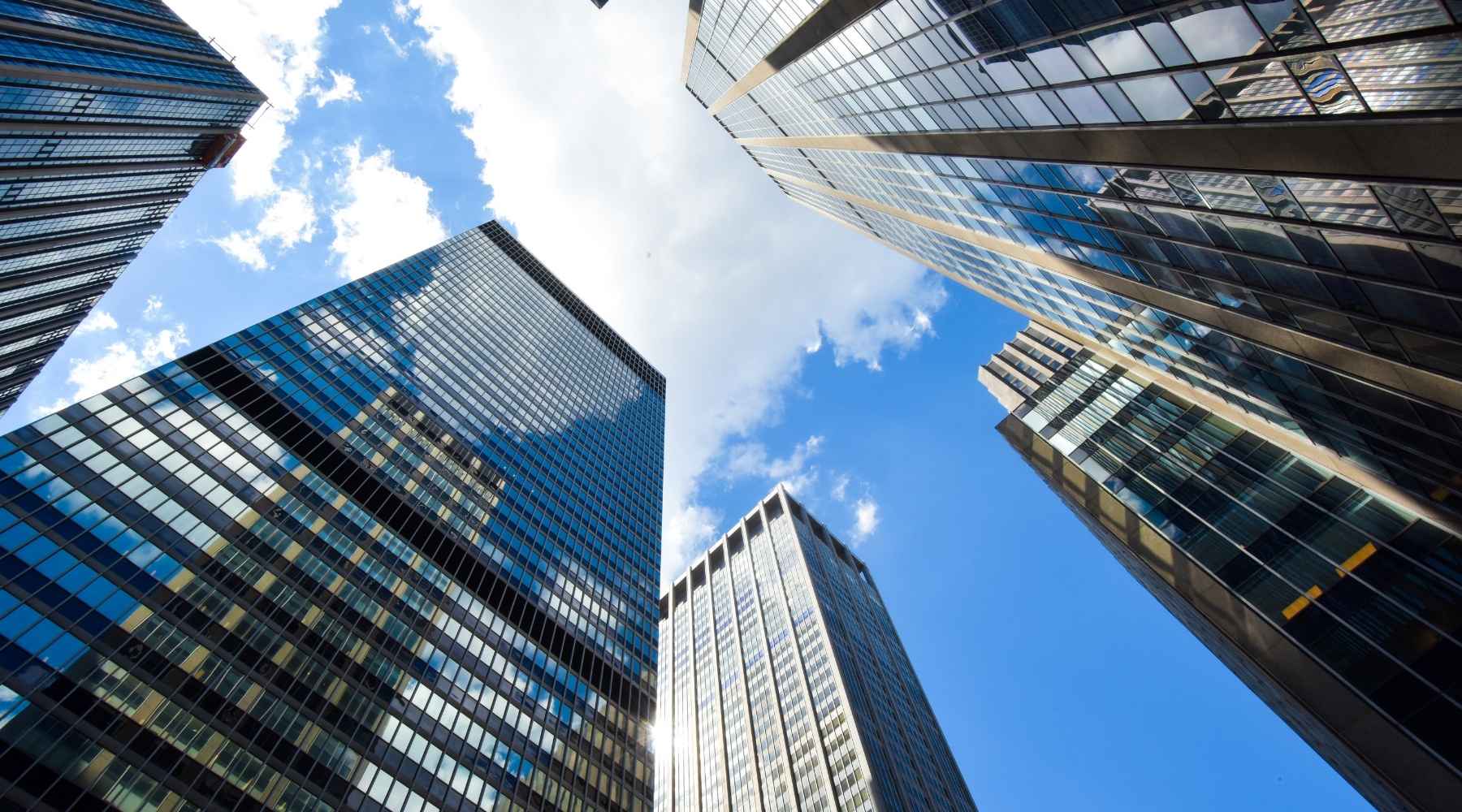 Corporativo y gobierno